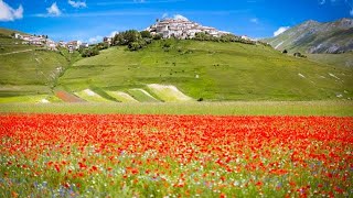 Castelluccio di Norcia periodo della fioritura quando andare [upl. by Steffie]