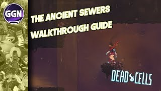 The Ossuary Walkthrough Guide  Dead Cells [upl. by Brendin3]