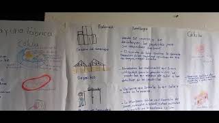 Unidad 2  Tarea 3 Identificación Analogía de las organelas y una fabrica de producción [upl. by Stelle]