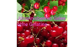 Johannisbeergelee in 20 Minutenohne Gelatine [upl. by Christine]