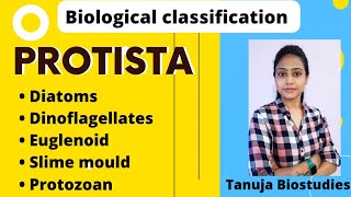 Biological Classification  Protista  DiatomsDinoflagellatesEuglenoidSlime mouldProtozoan NEET [upl. by Agate]