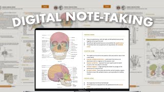 digital notetaking system pt 1 ✍🏻 how i take neat amp effective notes on google docs [upl. by Cheslie]