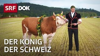 Der König der Schweiz – Vom Schwingen und seinen Helden  Doku  SRF Dok [upl. by Utimer]