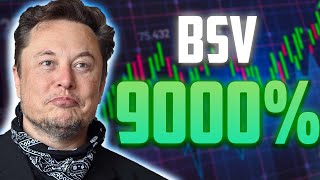 BSV A 9000 IS FINALLY HERE  BITCOIN SV MOST REALISTIC PRICE PREDICTIONS [upl. by Naols]