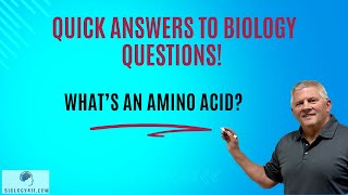 Whats an amino acid [upl. by Einaej]