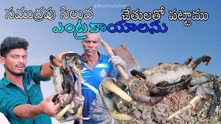 సముద్రపు ఎంట్రకాయలు చేతులతో పట్టాముpeethalu wildcrabshunting village crabs giftsofthenature [upl. by Yreffoeg]