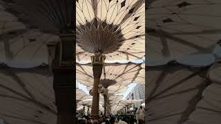 The Sacred Beauty of Masjid alNabawi [upl. by Antonella]