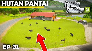 £250000 SHED IS GOING UP  Farming Simulator 25  Hutan Pantai  Episode 31 [upl. by Saxena522]