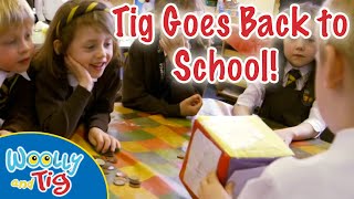 WoollyandTigOfficial  Tig at School 🏫  Back to School  Full Episodes  Compilation [upl. by Blackburn]