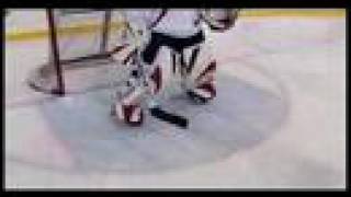 Sport Science  NHL Goaltender CatLike Quickness [upl. by Ettennaej]