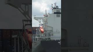 SHARP TURN OF A GIANT CONTAINER SHIP ship containership shipspotting cargoship [upl. by Lisetta133]