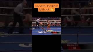 The pilipino flash nonito donaire nonitodonaire boxing boxing [upl. by Kcinnay]