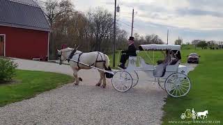 What a way to enter and exit your wedding – Horse Drawn Carriage – Victorian Carriage 113 [upl. by Lertnahs]