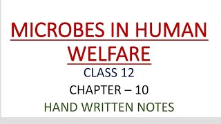 CLASS 12  BIOLOGY  CHAPTER 10  MICROBES IN HUMAN WELFARE  HAND WRITTEN NOTES  PART  2 [upl. by Ruscio428]