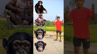 Spinning monkey head to monkey dog amp cat funny vfx magic video 😃 shorts [upl. by Gona]