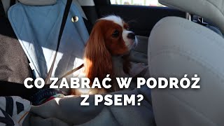 JAK PODRÓŻOWAĆ Z PSEM 🐕🚘  PSIA APTECZKA 🩹  POTRZEBNE RZECZY  JEDZIEMY DO BUDAPESZTU 🇭🇺 [upl. by Ravilob734]