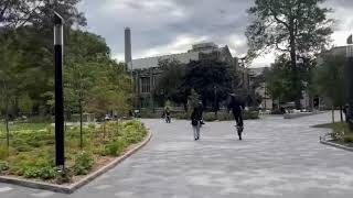 They took the bikes on campus UofT toronto staybusy [upl. by Lesirg749]