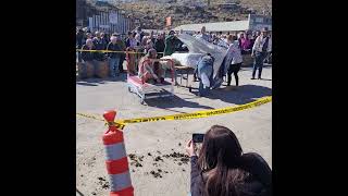 Oatman Arizona 2024 bed race [upl. by Ocinemod]