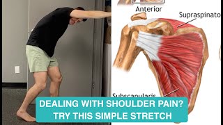 Instant Shoulder Pain Relief Exercises  Easy and Effective [upl. by Phaih915]