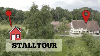 Stalltour 🏠  Ich zeige euch Rumis zu Hause 🐴 [upl. by Codie]