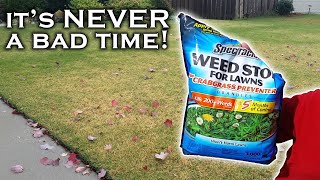 It’s not too late to prevent weeds Spectracide Weed Stop PreEmergent can help if you use it right [upl. by Seavey918]