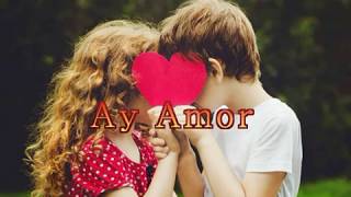 Ay Amor MDO con letra [upl. by Leba]