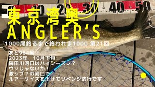 【東京湾奥】秋爆来ず？隅田川河口 ルアーサイズを下げてなんとか！【シーバス釣り】2023 10月下旬 Can We Catch Fish In Tokyo Bay 21 [upl. by Ylrehs]