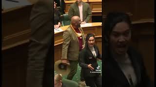 Meanwhile New Zealands Parliment kanguva effect [upl. by Einapets]