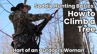 Saddle hunting basics  Ep 1 How to climb a tree with climbing sticks [upl. by Ayihsa]