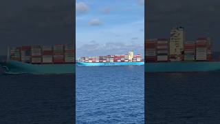 MAERSK Container Ship 🚢 at Sea shorts [upl. by Brindell510]