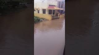 Fingal🌀cyclone pondicherrydecemberflood2024 [upl. by Birmingham296]