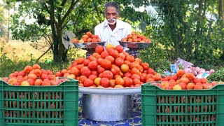 Tomato Rice Recipe  Simple and Easy Tomato Rice By Grandpa Kitchen [upl. by Felic991]