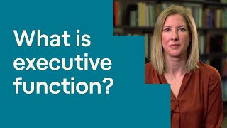 What Is Executive Function [upl. by Trebuh]