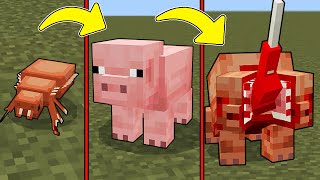 NEW PARASITES ADDON Minecraft Bedrock Blood Rot [upl. by Hebner906]