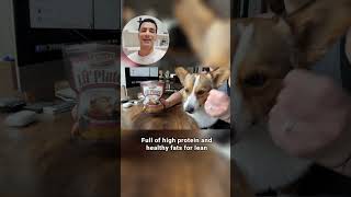 Hills Science Diet Puppy Food Review Lamb Meal amp Brown Rice Recipe 4 lb Bag [upl. by Metah]