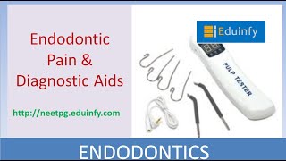 Endodontics  Pulp Pain amp Diagnostics [upl. by Takashi395]