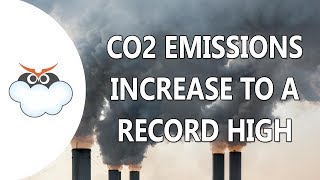 Carbon Dioxide emissions increase to a record high  Skymet Weather [upl. by Enimsay]