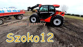 Załadunek zboża Vlog11 Manitou MLT 634120 [upl. by Niltiac]