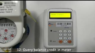 How to operate the Customer Interface Unit of LAISON Split STS prepaid water meters [upl. by Llerrit838]