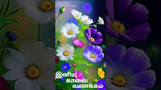 Sollividu velli nilavae  Amaithi padai movie song [upl. by Jozef380]