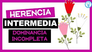 DOMINANCIA INCOMPLETA 🧐🌺 [upl. by Yank]