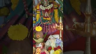 Today Lakshmi pooja 🙏🏻🌺 short subscribe support 🙏🏻 [upl. by Dyraj]