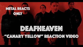 DEAFHEAVEN quotCanary Yellowquot Reaction Video  Metal Reacts Only  MetalSucks [upl. by Akener]