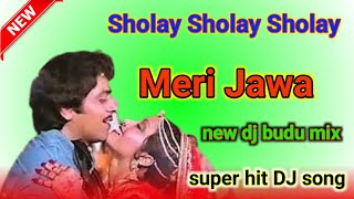 sholay sholay sholay meri jawani super hit DJ song dj budu mix [upl. by Eiresed]