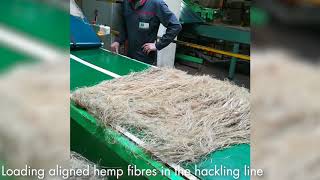 Ssuchy Hemp Processing [upl. by Auqinahc]