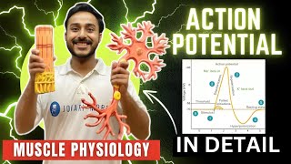 action potential physiology in hindi  ionic basis of action potential in skeletal muscle physiology [upl. by Butch]