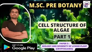 Cell Structure of Algae Part 1 [upl. by Elenaj881]