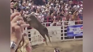 Bull leaps fence at Sisters Rodeo injures 3 [upl. by Ita]