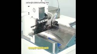 Automatic double head terminal machine wire cutting stripping twisting crimping machine [upl. by Chris]