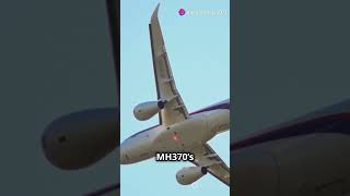 New MH370 Location Confirmed 🚨 facts mh370 planecrash mh370crash [upl. by Jacob]